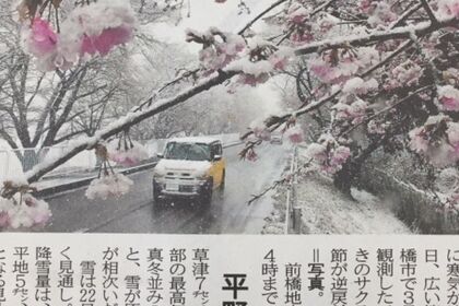 春の雪