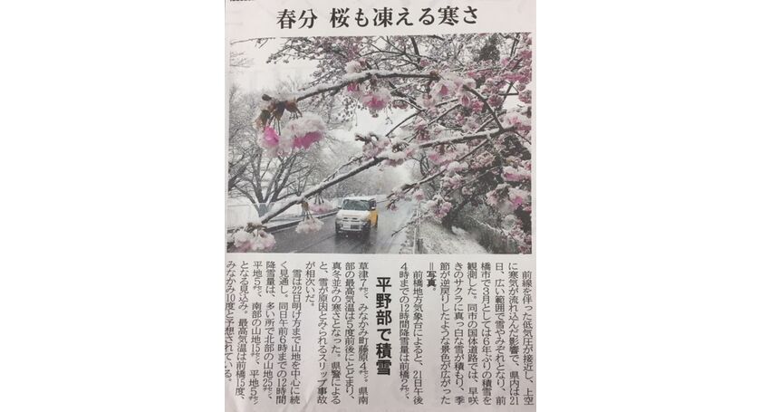 春の雪